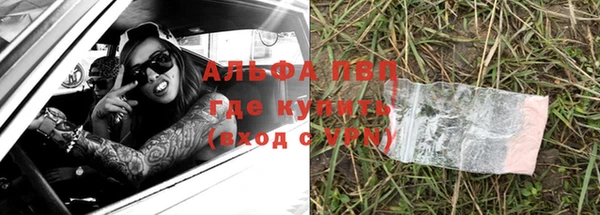 не бодяженный Ладушкин