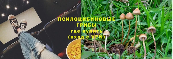 мдпв Лабытнанги