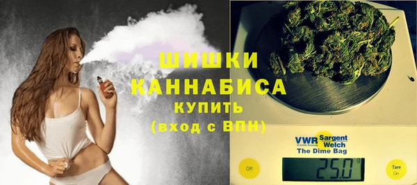 мет Лагань