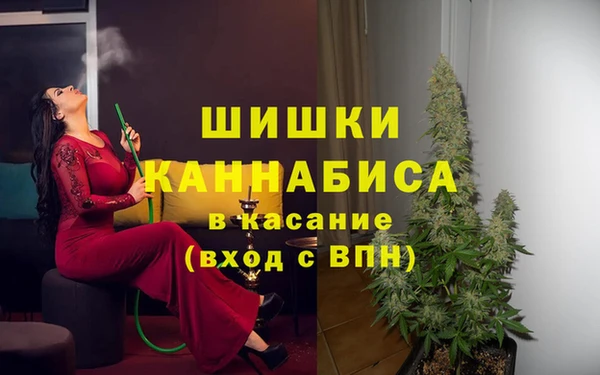 не бодяженный Ладушкин
